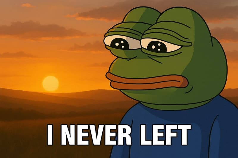 meme on surviving a crypto bear market.jpg