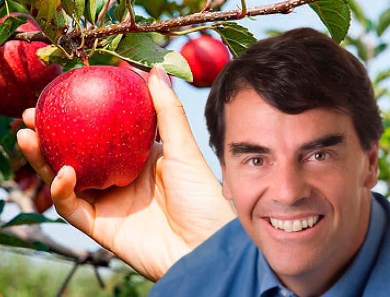 First job of Tim Draper