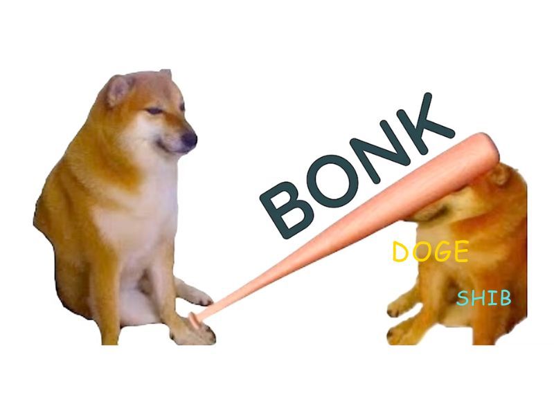 top meme coins by crypto jobs list - bonk.jpg
