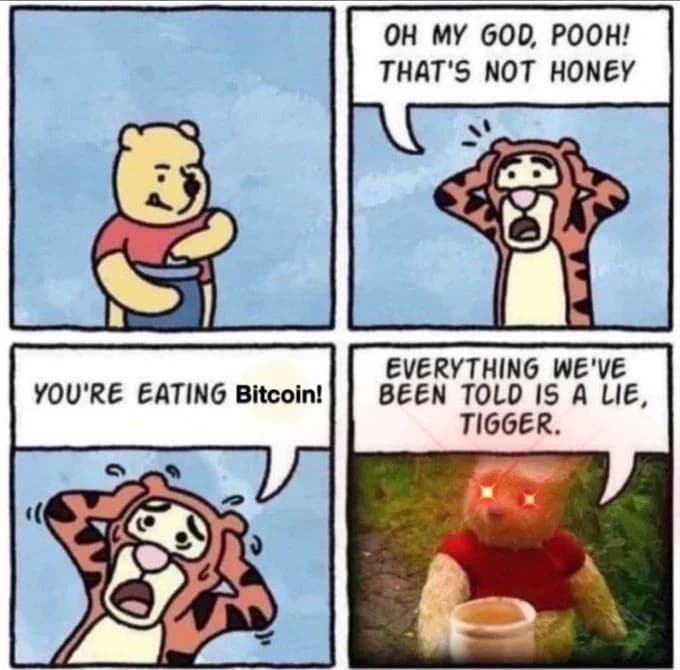 winnie-the-poo-bitcoiner-maxi-meme.png